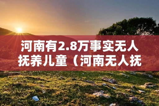 河南有2.8万事实无人抚养儿童(河南无人抚养儿童补贴)