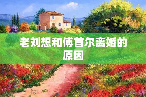 老刘想和傅首尔离婚的原因