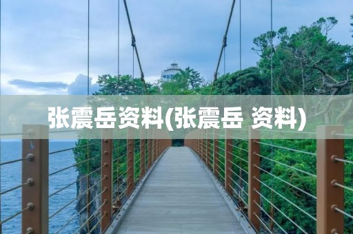 张震岳资料(张震岳 资料) 张震岳资料(张震岳 资料)