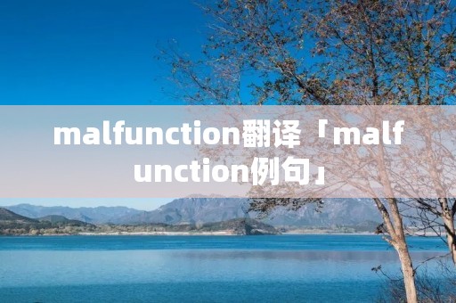 malfunction翻译「malfunction例句」