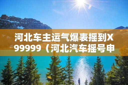 河北车主运气爆表摇到X99999(河北汽车摇号申请网站) 河北车主运气爆表摇到X99999(河北汽车摇号申请网站)
