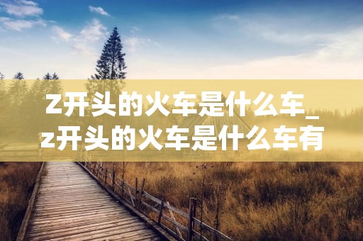 Z开头的火车是什么车_z开头的火车是什么车有充电