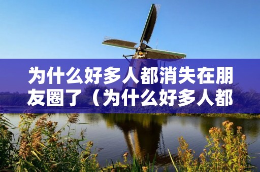 为什么好多人都消失在朋友圈了(为什么好多人都消失在朋友圈了还能看到)