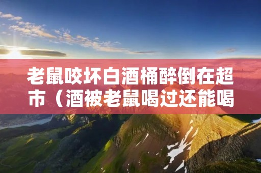 老鼠咬坏白酒桶醉倒在超市(酒被老鼠喝过还能喝吗)