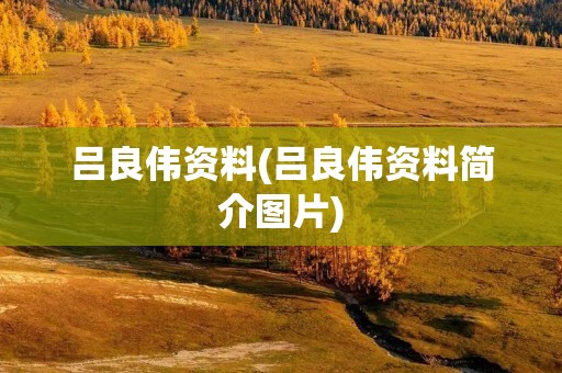 吕良伟资料(吕良伟资料简介图片)