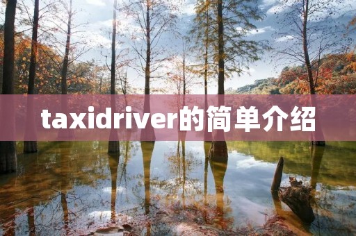 taxidriver的简单介绍 taxidriver的简单介绍