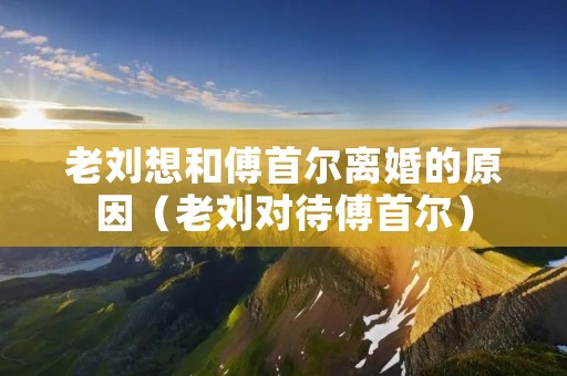 老刘想和傅首尔离婚的原因(老刘对待傅首尔)