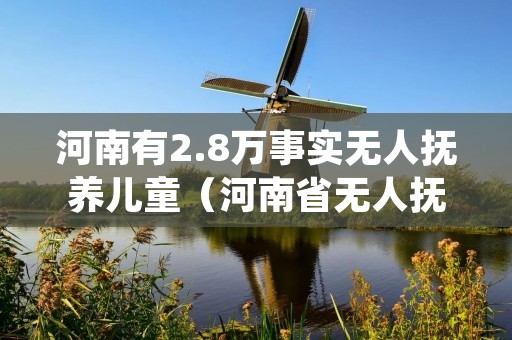河南有2.8万事实无人抚养儿童(河南省无人抚养儿童基本生活补贴多少标准)