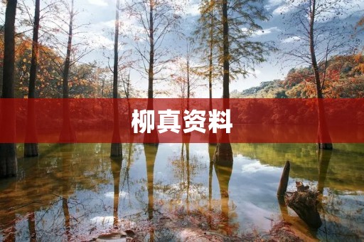 柳真资料 柳真资料