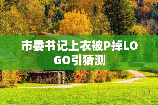 市委书记上衣被P掉LOGO引猜测