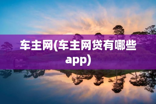 车主网(车主网贷有哪些app)