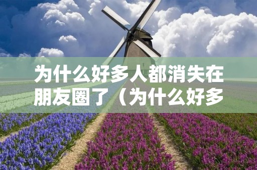 为什么好多人都消失在朋友圈了（为什么好多人都消失在朋友圈了还能看到）