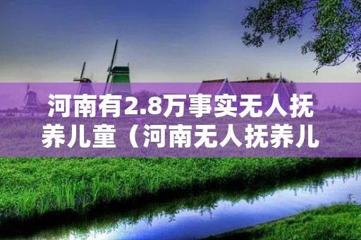河南有2.8万事实无人抚养儿童（河南无人抚养儿童补贴）