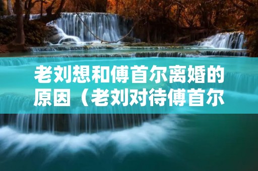 老刘想和傅首尔离婚的原因（老刘对待傅首尔）