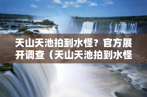天山天池拍到水怪？官方展开调查（天山天池拍到水怪?官方展开调查）