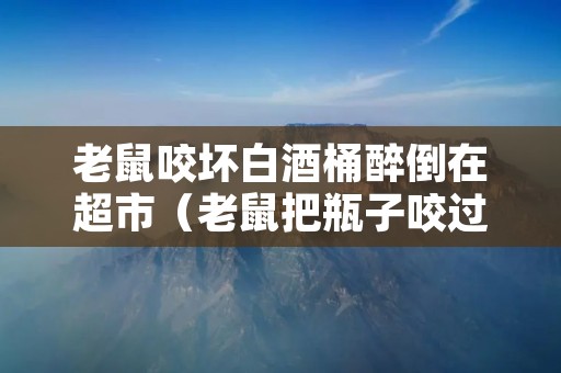 老鼠咬坏白酒桶醉倒在超市（老鼠把瓶子咬过了还能喝吗?）