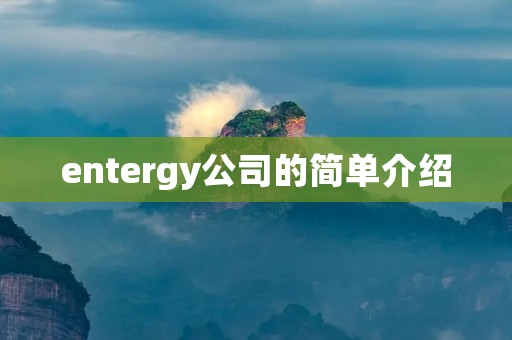 entergy公司的简单介绍