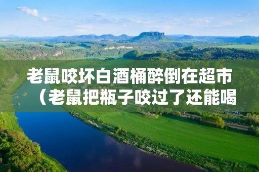 老鼠咬坏白酒桶醉倒在超市（老鼠把瓶子咬过了还能喝吗?）