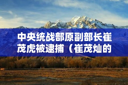 中央统战部原副部长崔茂虎被逮捕(崔茂灿的简介)