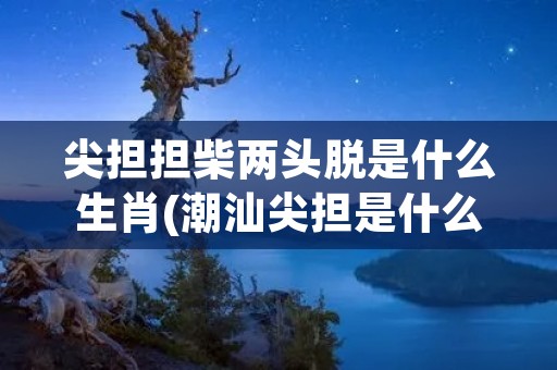 尖担担柴两头脱是什么生肖(潮汕尖担是什么东西) 尖担担柴两头脱是什么生肖(潮汕尖担是什么东西)