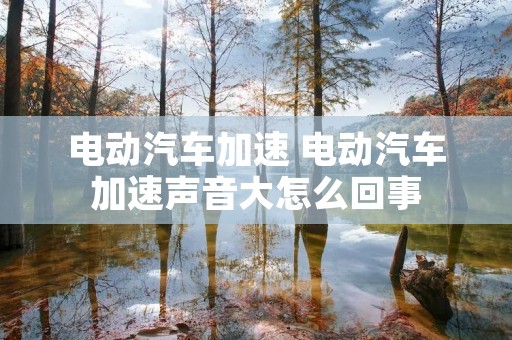 电动汽车加速 电动汽车加速声音大怎么回事
