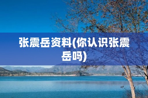 张震岳资料(你认识张震岳吗)