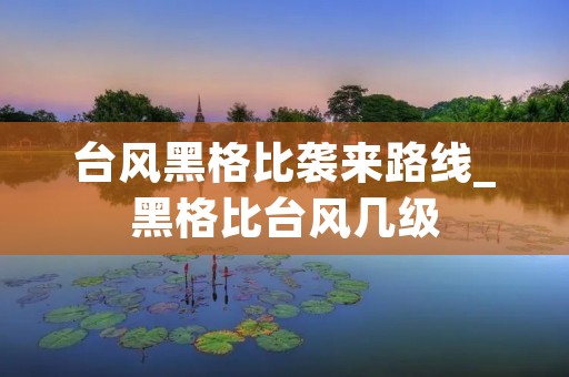台风黑格比袭来路线_黑格比台风几级