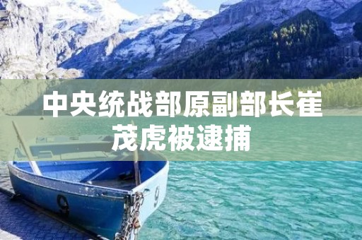 中央统战部原副部长崔茂虎被逮捕