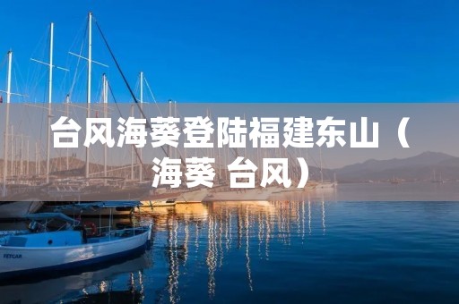 台风海葵登陆福建东山(海葵 台风)