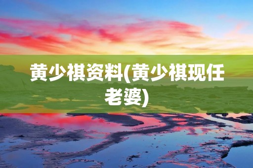 黄少祺资料(黄少祺现任老婆)
