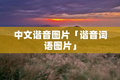 中文谐音图片「谐音词语图片」