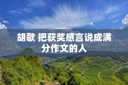 胡歌 把获奖感言说成满分作文的人