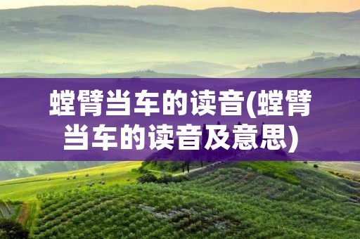 螳臂当车的读音(螳臂当车的读音及意思)