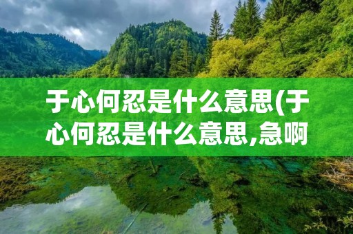 于心何忍是什么意思(于心何忍是什么意思,急啊)