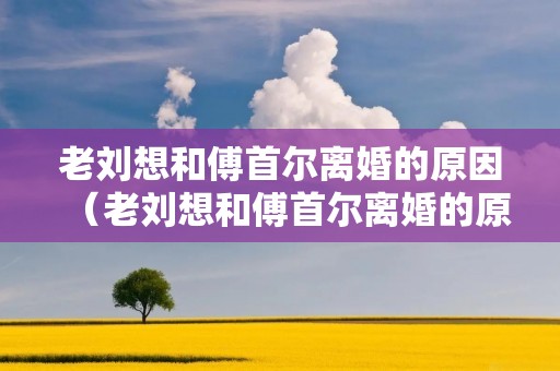 老刘想和傅首尔离婚的原因(老刘想和傅首尔离婚的原因是)