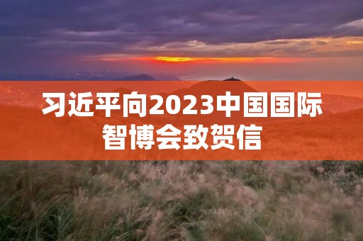习近平向2023中国国际智博会致贺信