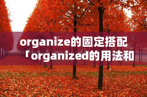 organize的固定搭配「organized的用法和搭配」 organize的固定搭配「organized的用法和搭配」