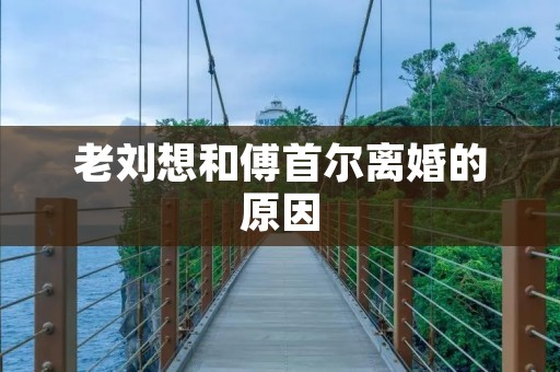 老刘想和傅首尔离婚的原因