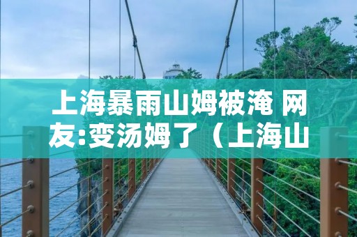 上海暴雨山姆被淹 网友:变汤姆了(上海山姆开了多久了)