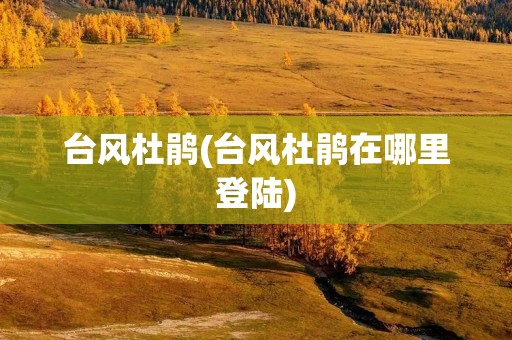 台风杜鹃(台风杜鹃在哪里登陆)