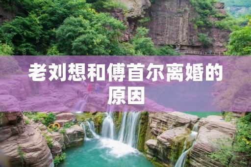 老刘想和傅首尔离婚的原因