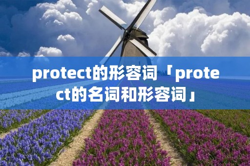 protect的形容词「protect的名词和形容词」 protect的形容词「protect的名词和形容词」