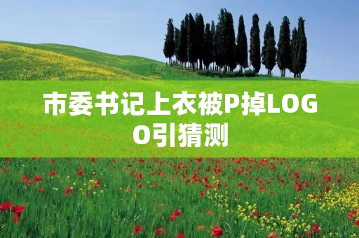 市委书记上衣被P掉LOGO引猜测