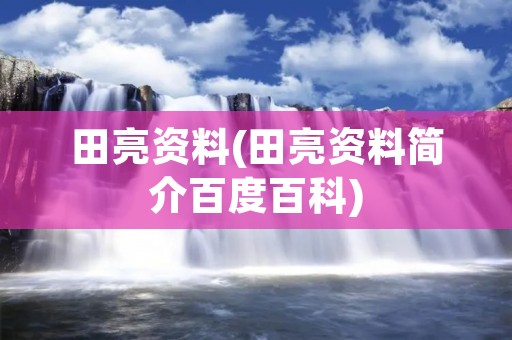 田亮资料(田亮资料简介百度百科)
