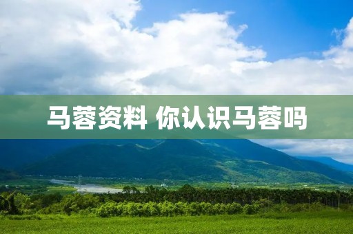 马蓉资料 你认识马蓉吗