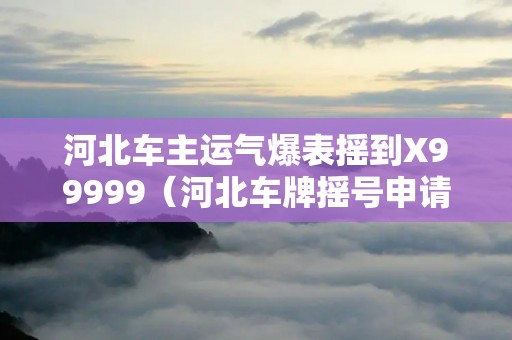 河北车主运气爆表摇到X99999(河北车牌摇号申请网站)