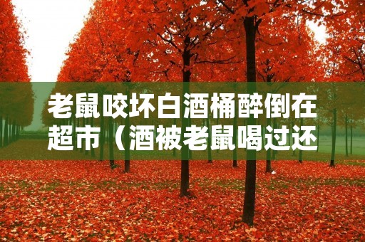老鼠咬坏白酒桶醉倒在超市（酒被老鼠喝过还能喝吗）