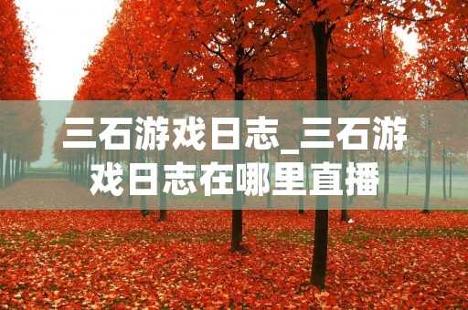 三石游戏日志_三石游戏日志在哪里直播