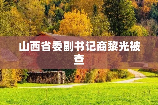 山西省委副书记商黎光被查