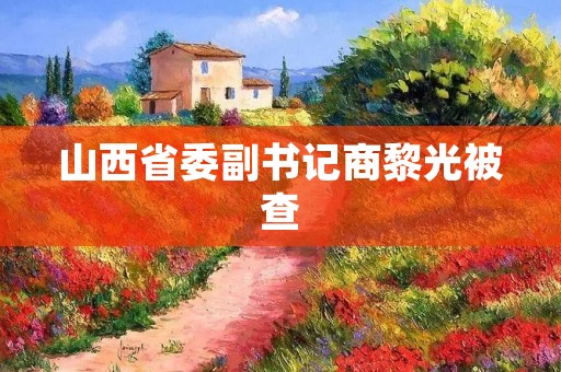 山西省委副书记商黎光被查